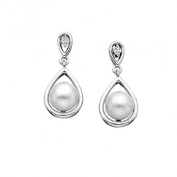 s88 SS PRL & DI EARRS.05TDW