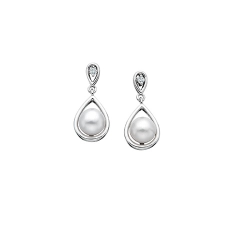 s88 SS PRL & DI EARRS.05TDW