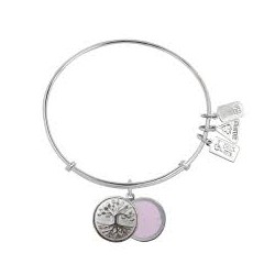722 Family Tree slide locket