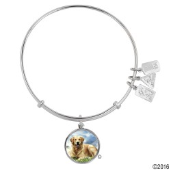 756 Golden Retriever 