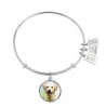 761 Yellow Lab