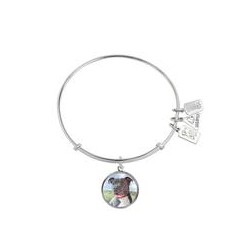 764 Pit Bull Terrier