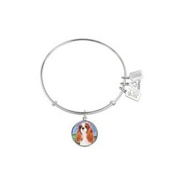 766 King Charles Spaniel 