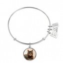 793 Tabby Cat 