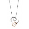D69 SS Captured Heart pendant
